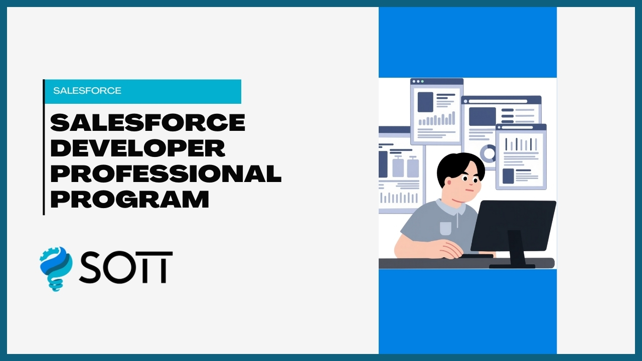 Salesforce Developer